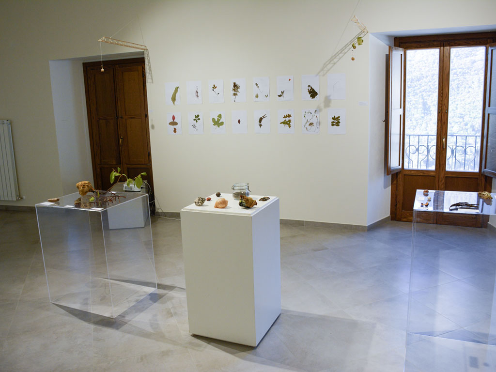 exhibition view